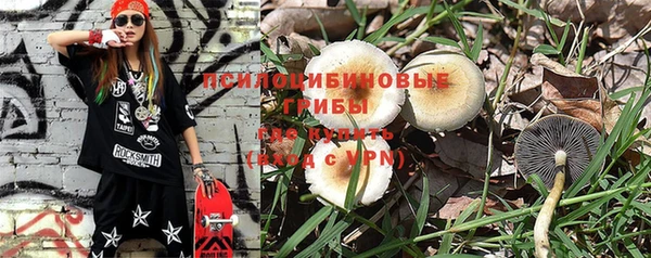 прущая мука Абаза
